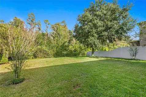 19303 Water Maple Drive Tampa FL 33647