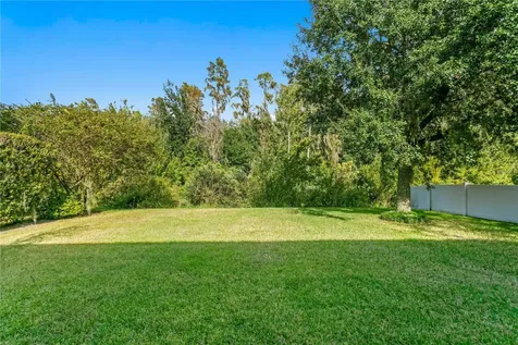 19303 Water Maple Drive Tampa FL 33647