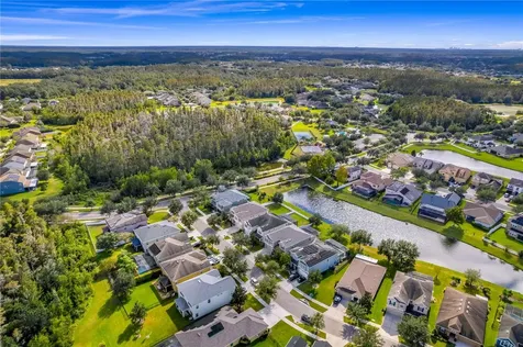 19303 Water Maple Drive Tampa FL 33647