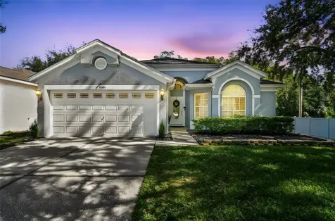 13401 Fawn Springs Drive Tampa FL 33626