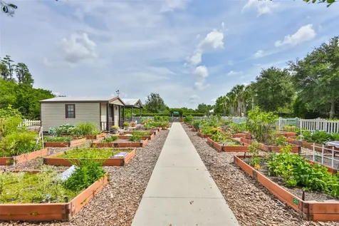 15948 Cobble Mill Drive Wimauma FL 33598