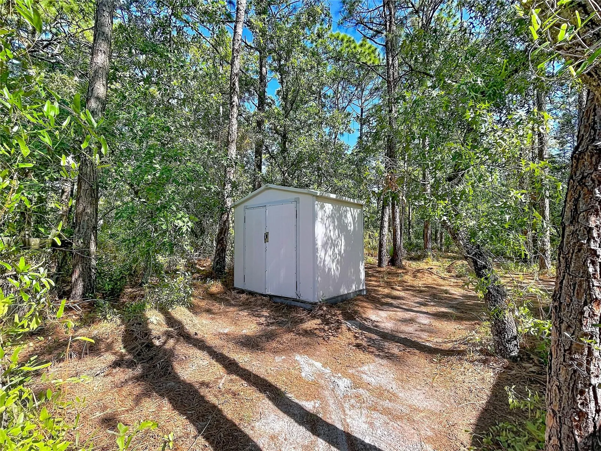16475 Kids Avenue Weeki Wachee FL 34614