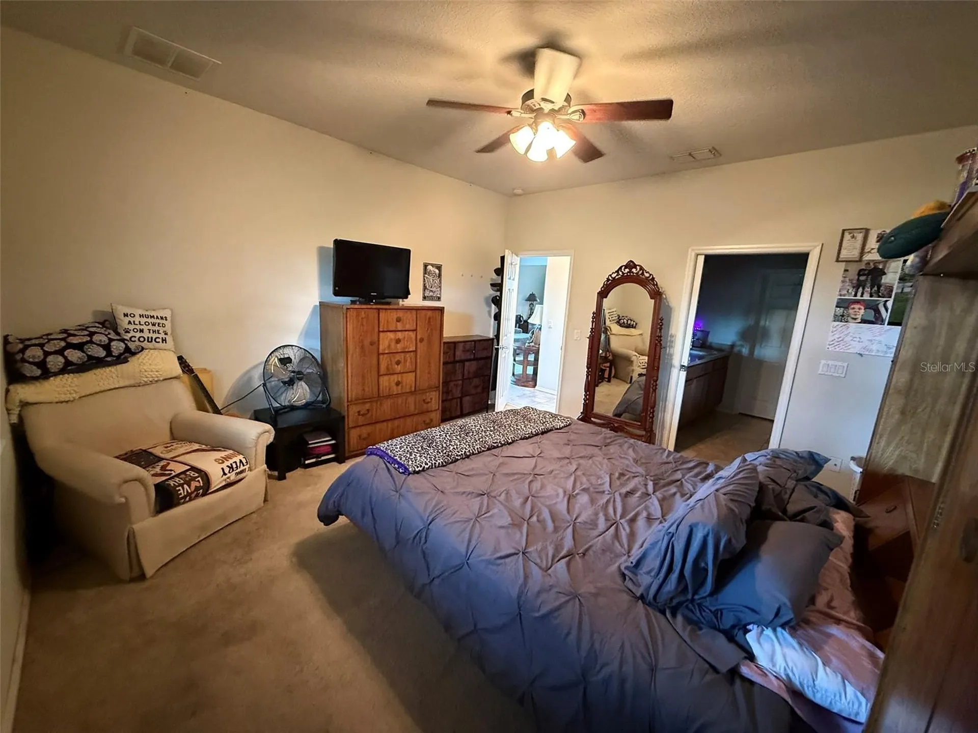 21846 Belgian Court Mount Dora FL 32757