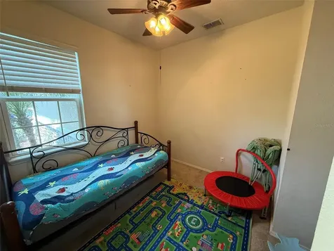 21846 Belgian Court Mount Dora FL 32757