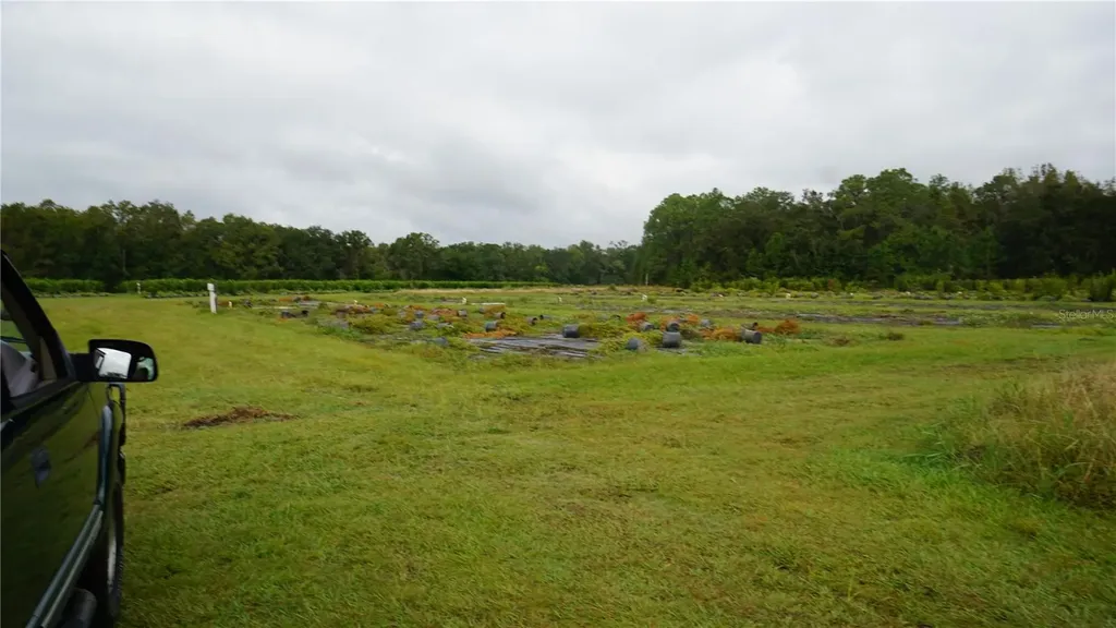 00 Douglas Road Groveland FL 34736