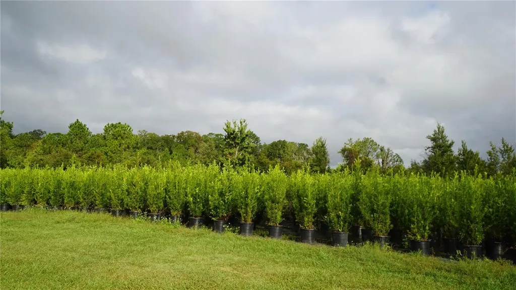 00 Douglas Road Groveland FL 34736