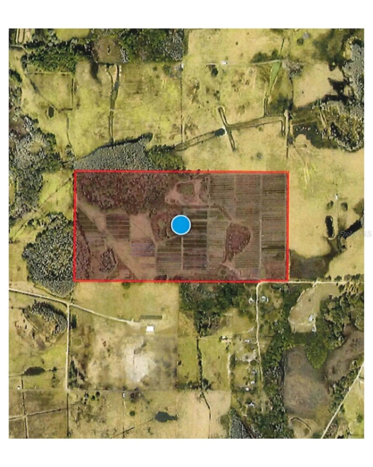 00 Douglas Road Groveland FL 34736