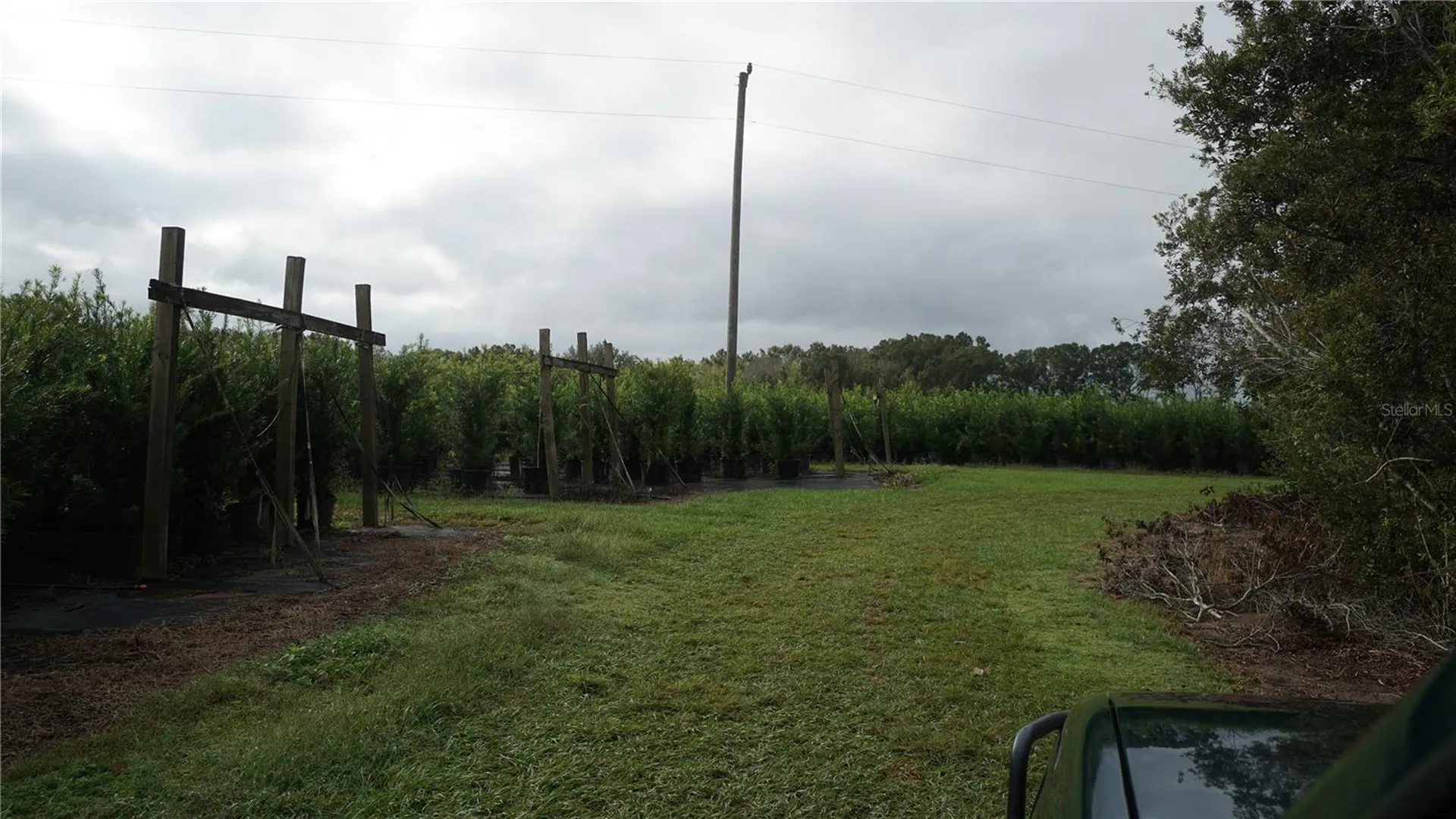 00 Douglas Road Groveland FL 34736