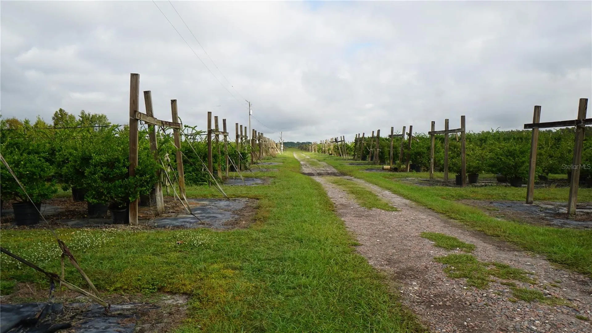 00 Douglas Road Groveland FL 34736