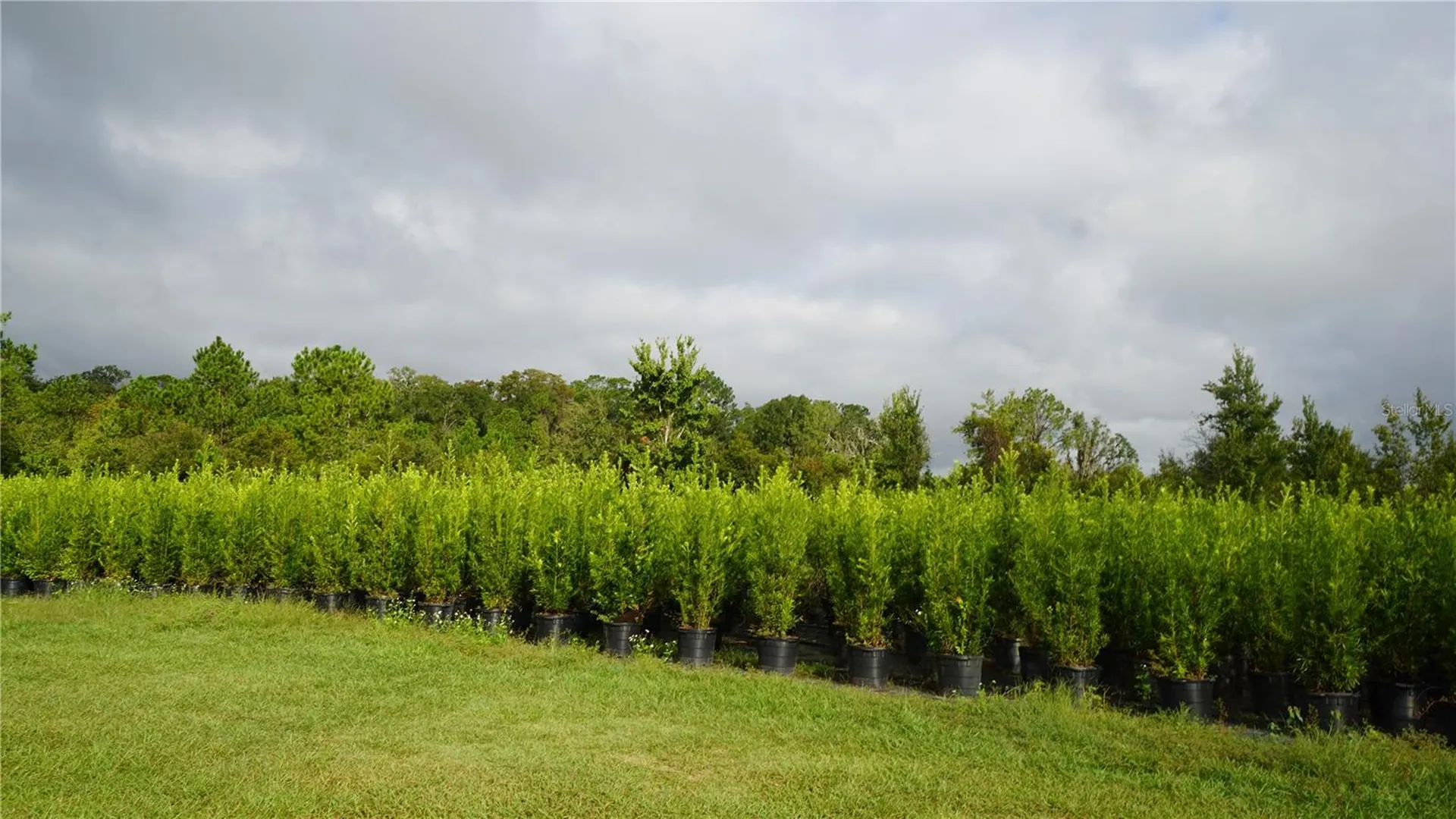 00 Douglas Road Groveland FL 34736