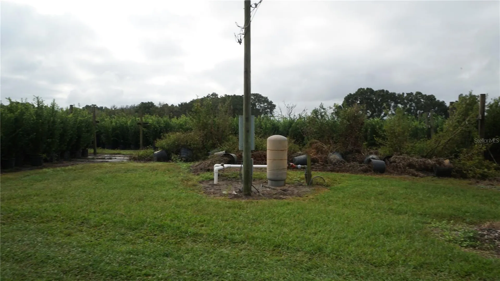 00 Douglas Road Groveland FL 34736