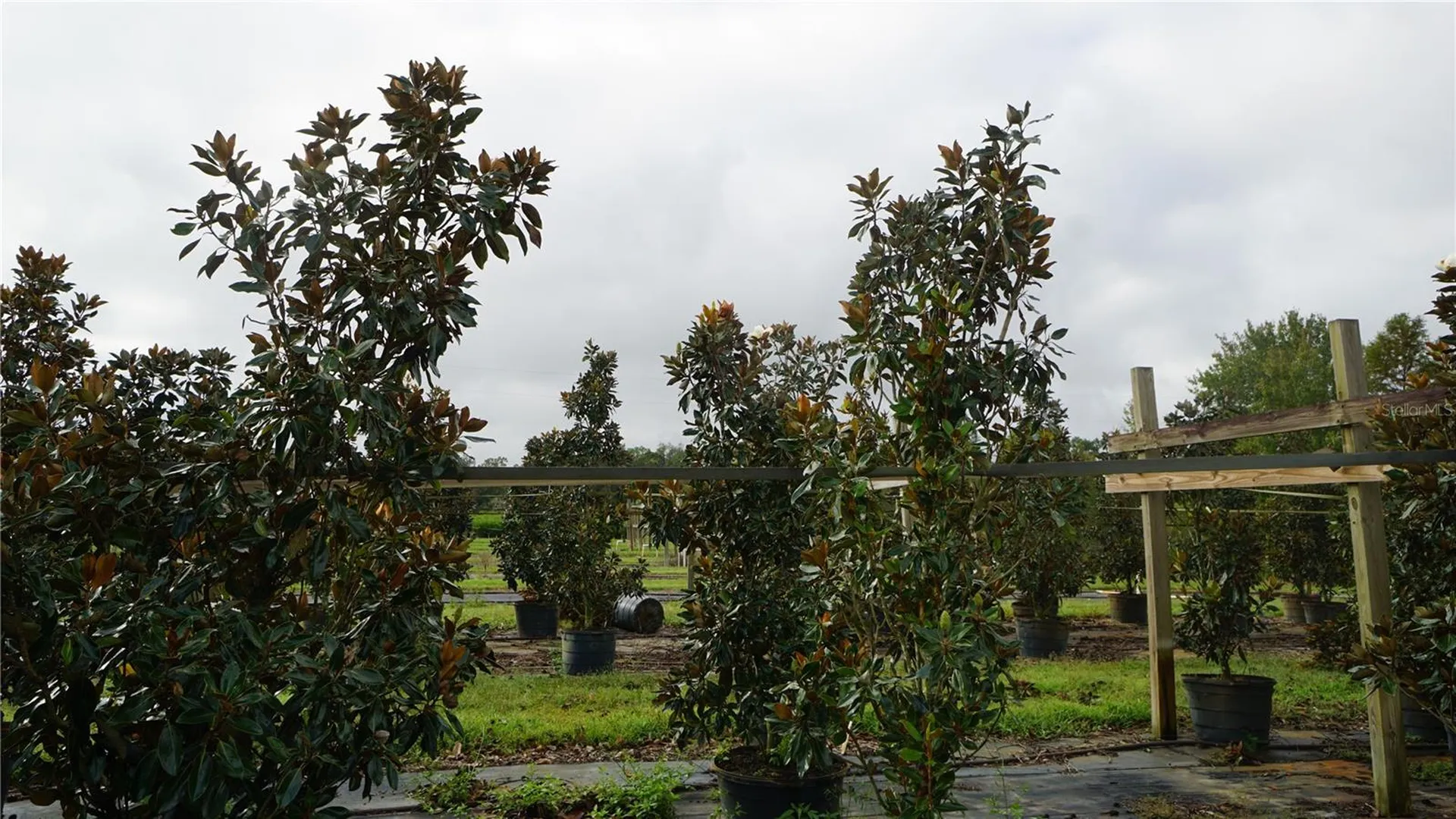 00 Douglas Road Groveland FL 34736