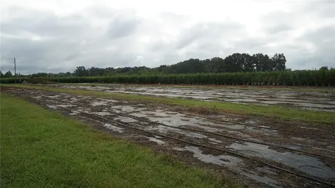 00 Douglas Road Groveland FL 34736