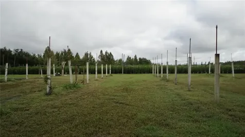 00 Douglas Road Groveland FL 34736