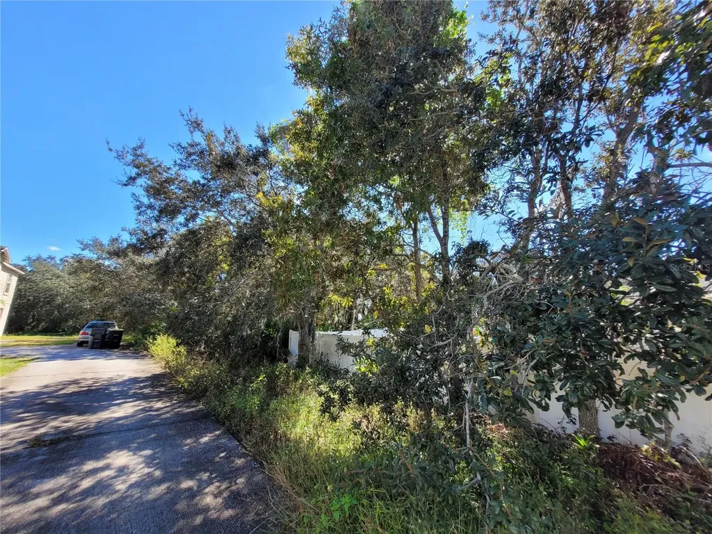 1929 Manatee Drive Poinciana FL 34759