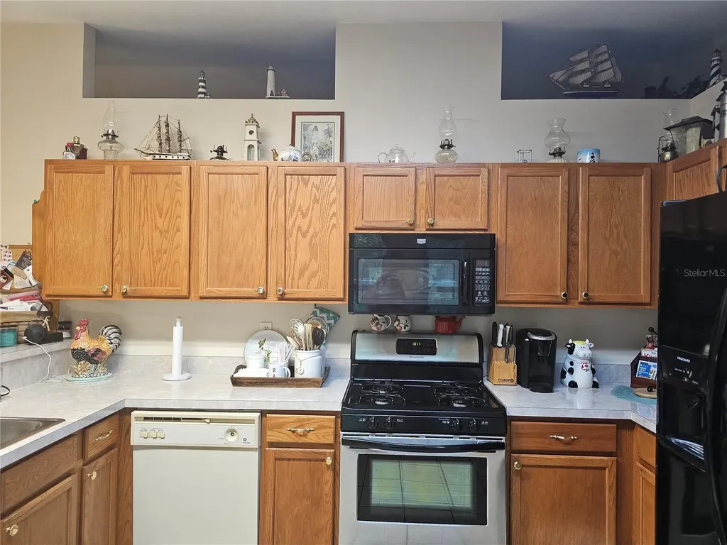 5925 SE 165th Court Ocklawaha FL 32179