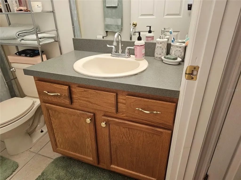 5925 SE 165th Court Ocklawaha FL 32179