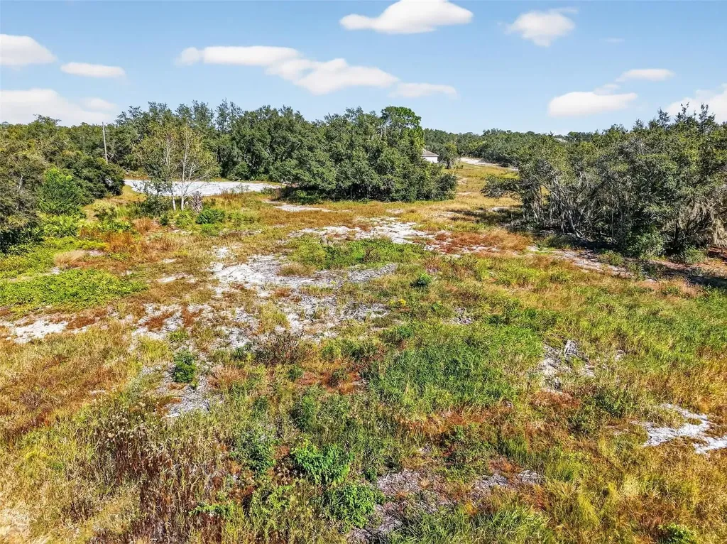 1417 Sebring Way Poinciana FL 34759