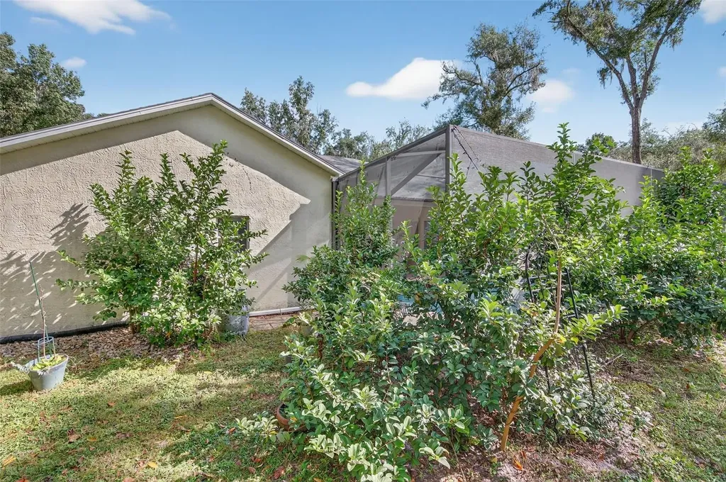 11031 Nottingham Forest Drive Brooksville FL 34601