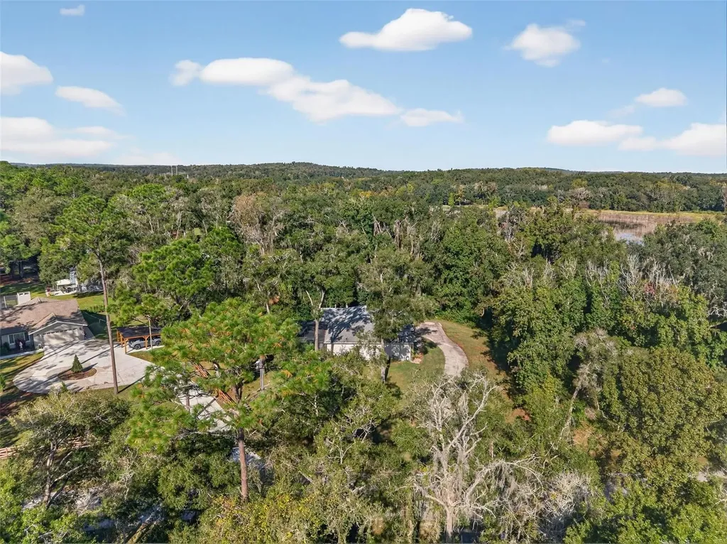 11031 Nottingham Forest Drive Brooksville FL 34601
