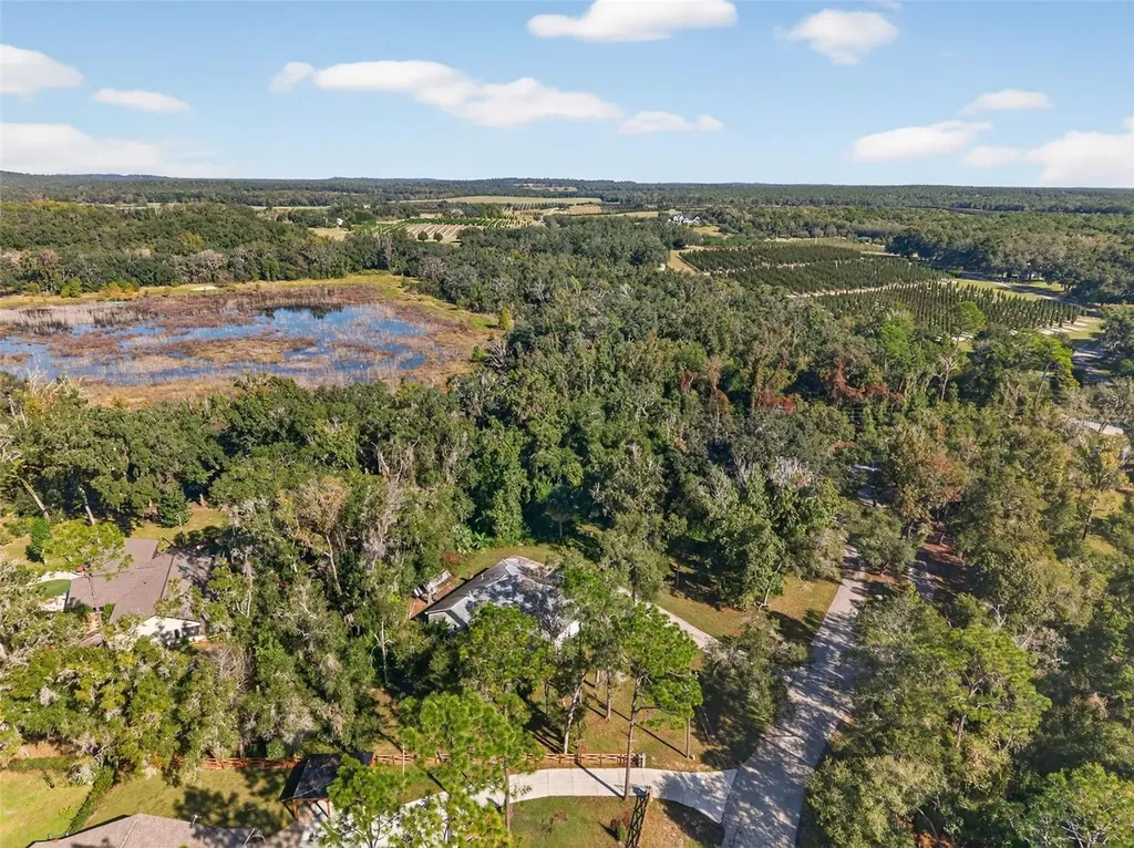 11031 Nottingham Forest Drive Brooksville FL 34601