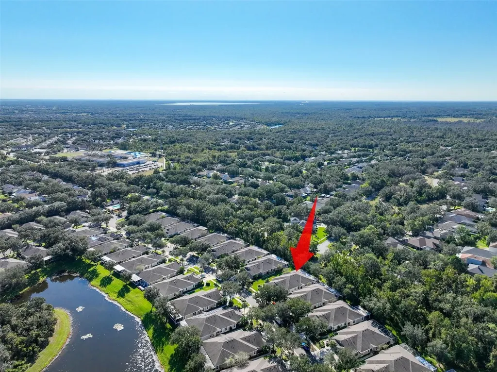 15731 Phoebepark Avenue Lithia FL 33547