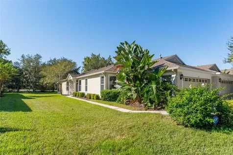 15731 Phoebepark Avenue Lithia FL 33547