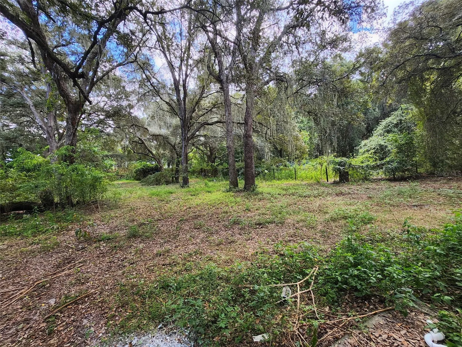 13767 NE 47th Avenue Anthony FL 32617