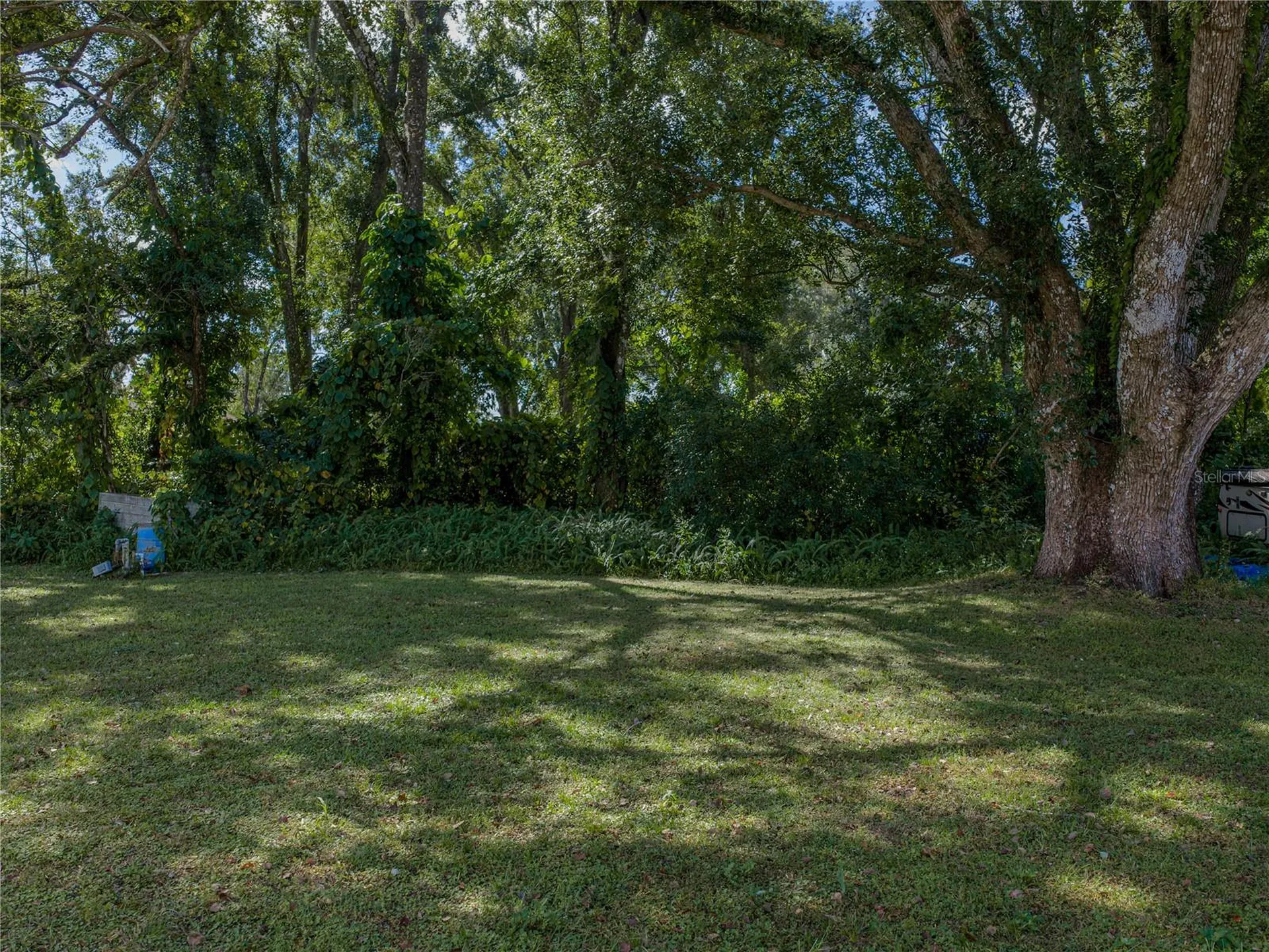 37150 Belford Court Zephyrhills FL 33541