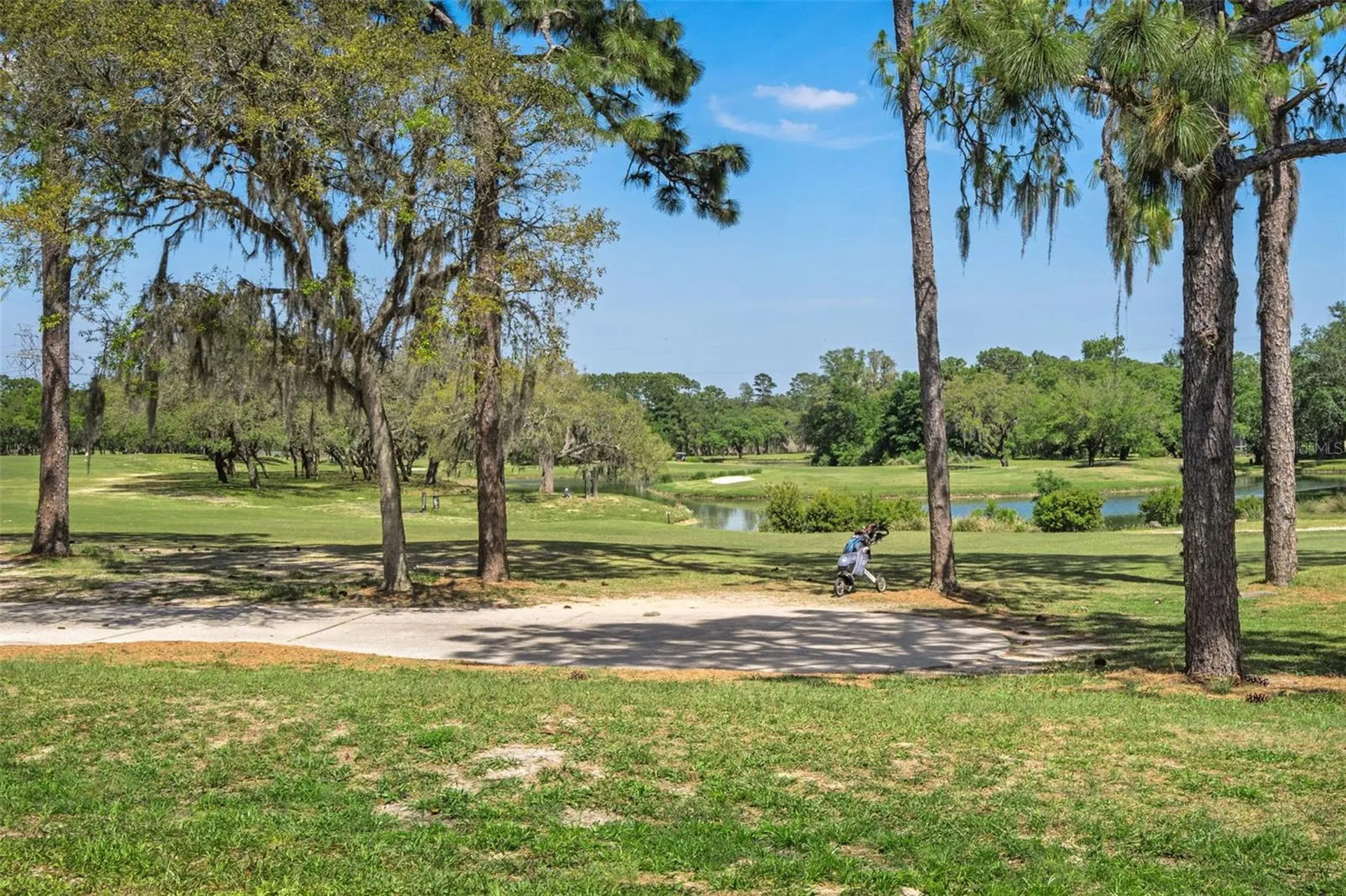 72 Chinaberry Circle Homosassa FL 34446