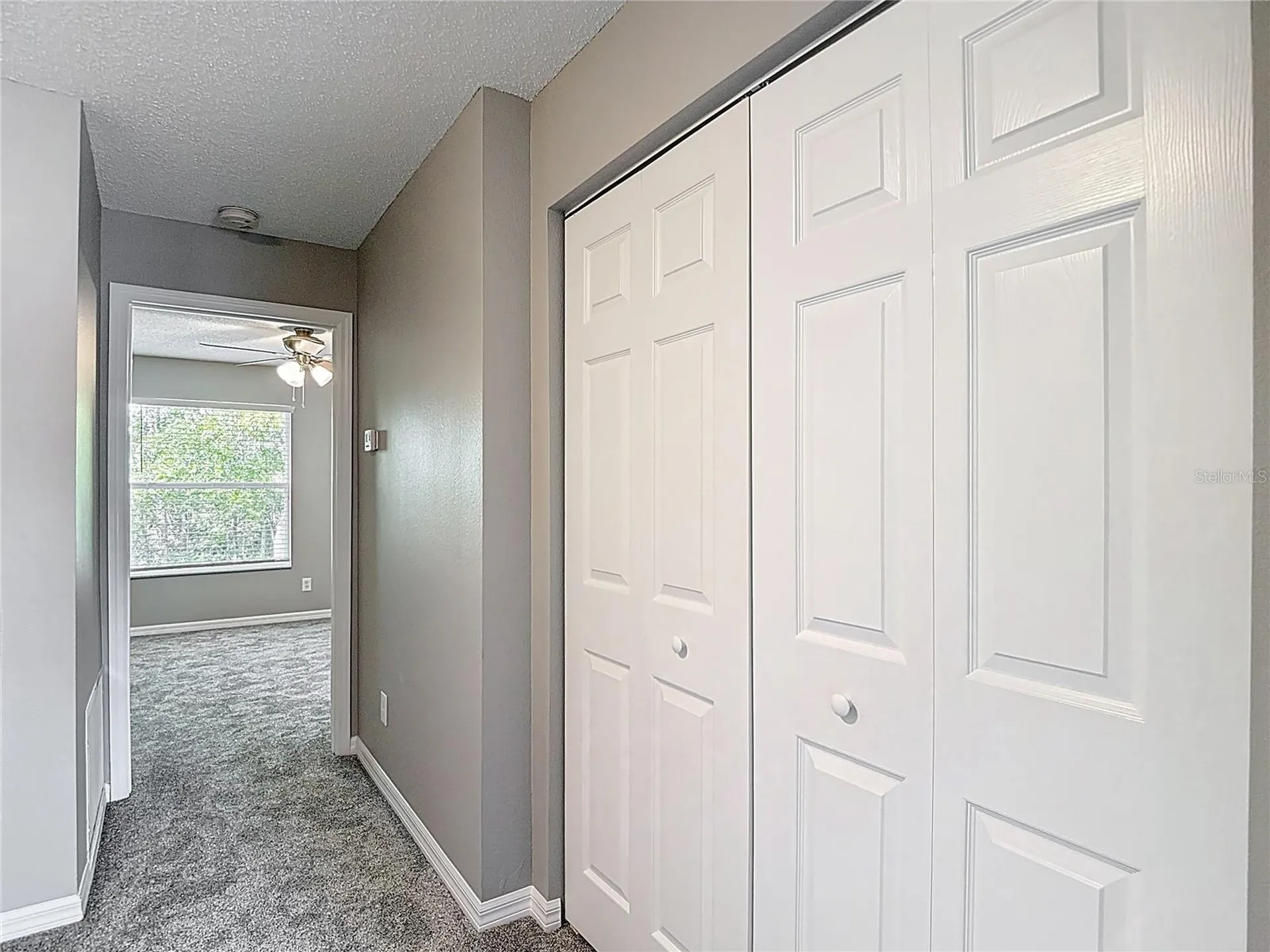 4223 Winding River Way Land O Lakes FL 34639
