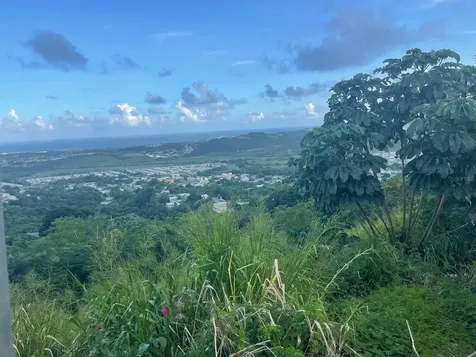 3 Candelero Humacao PR 00791