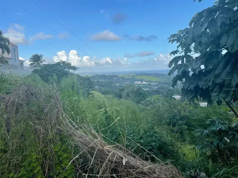 3 Candelero Humacao PR 00791