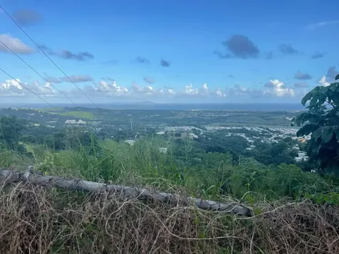 3 Candelero Humacao PR 00791