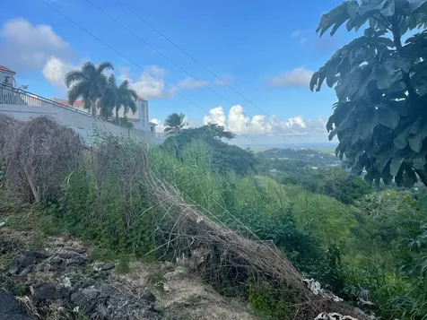 3 Candelero Humacao PR 00791
