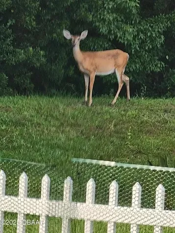 704 Saw Palmetto Court Port Orange FL 32128