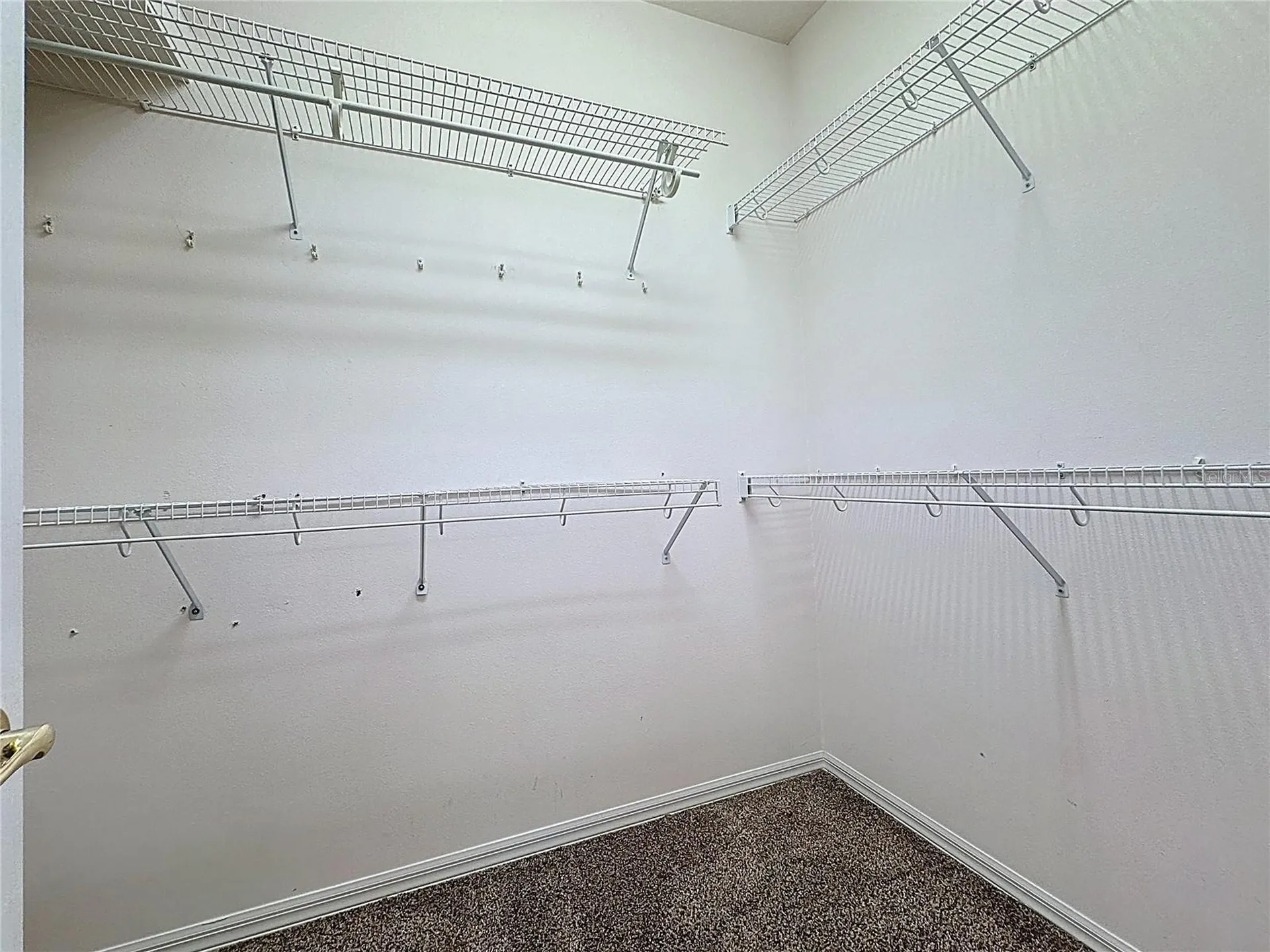 4246 Newland Street Clermont FL 34711