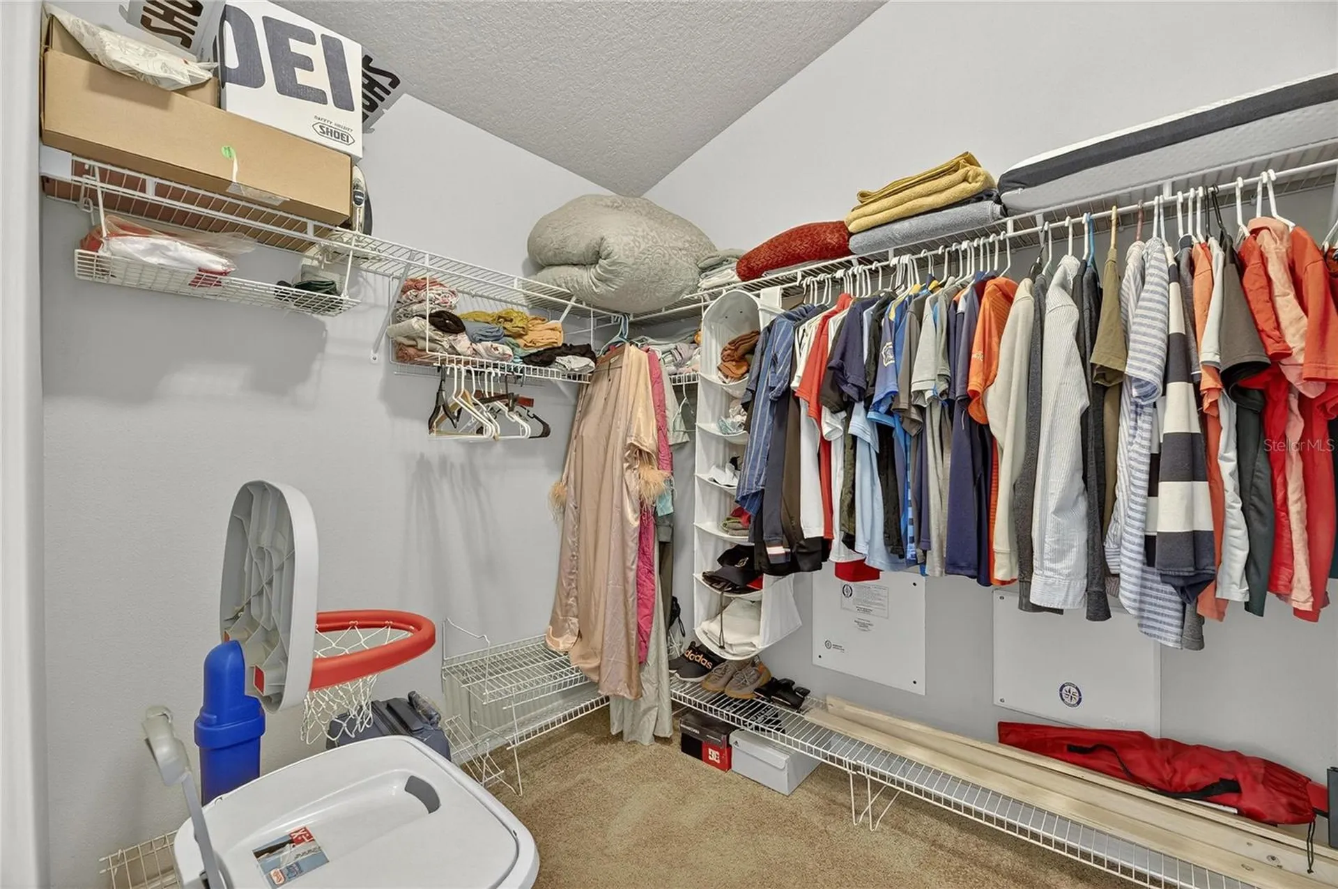 424 Down Pine Drive Seffner FL 33584