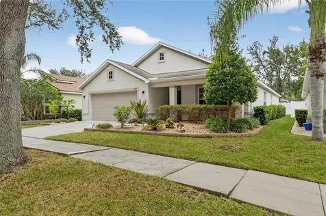 424 Down Pine Drive Seffner FL 33584