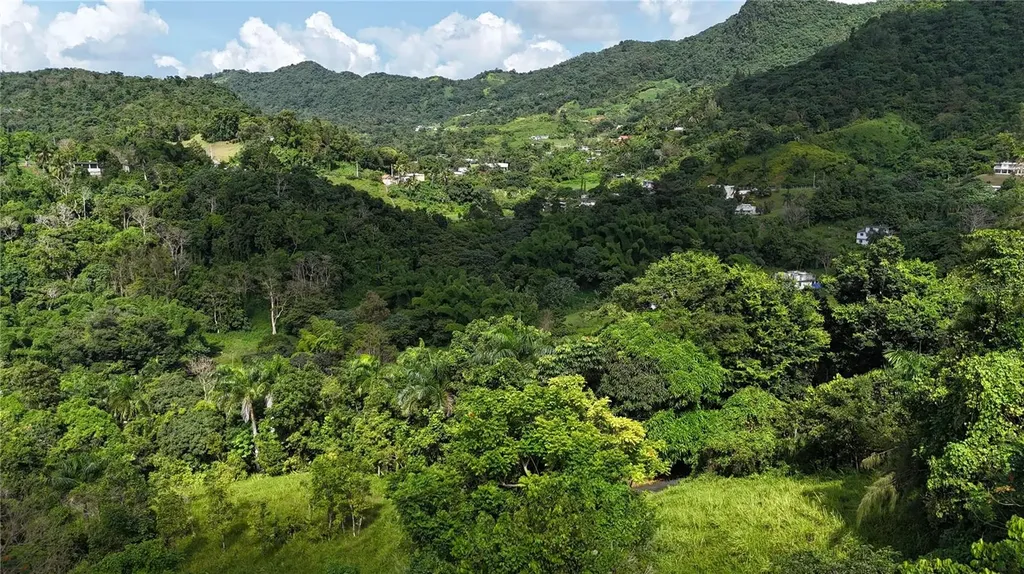 Km 8.0 Int. Pr-765 Bo. San Salvador Caguas PR 00725