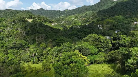 Km 8.0 Int. Pr-765 Bo. San Salvador Caguas PR 00725