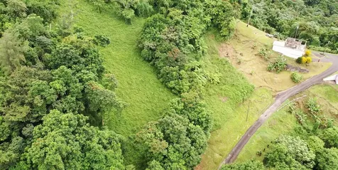 Km 8.0 Int. Pr-765 Bo. San Salvador Caguas PR 00725