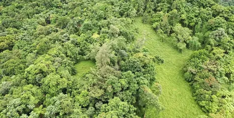 Km 8.0 Int. Pr-765 Bo. San Salvador Caguas PR 00725