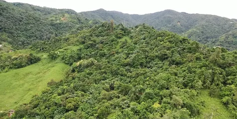 Km 8.0 Int. Pr-765 Bo. San Salvador Caguas PR 00725