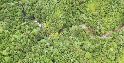 Km 8.0 Int. Pr-765 Bo. San Salvador Caguas PR 00725