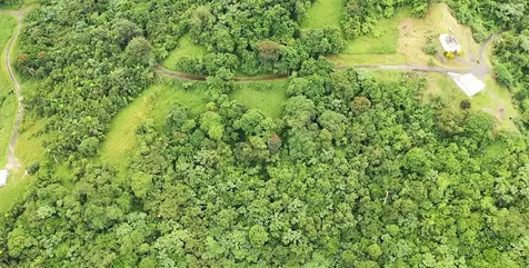 Km 8.0 Int. Pr-765 Bo. San Salvador Caguas PR 00725