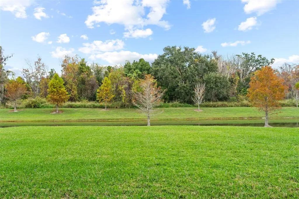 14372 Sunbridge Circle Winter Garden FL 34787