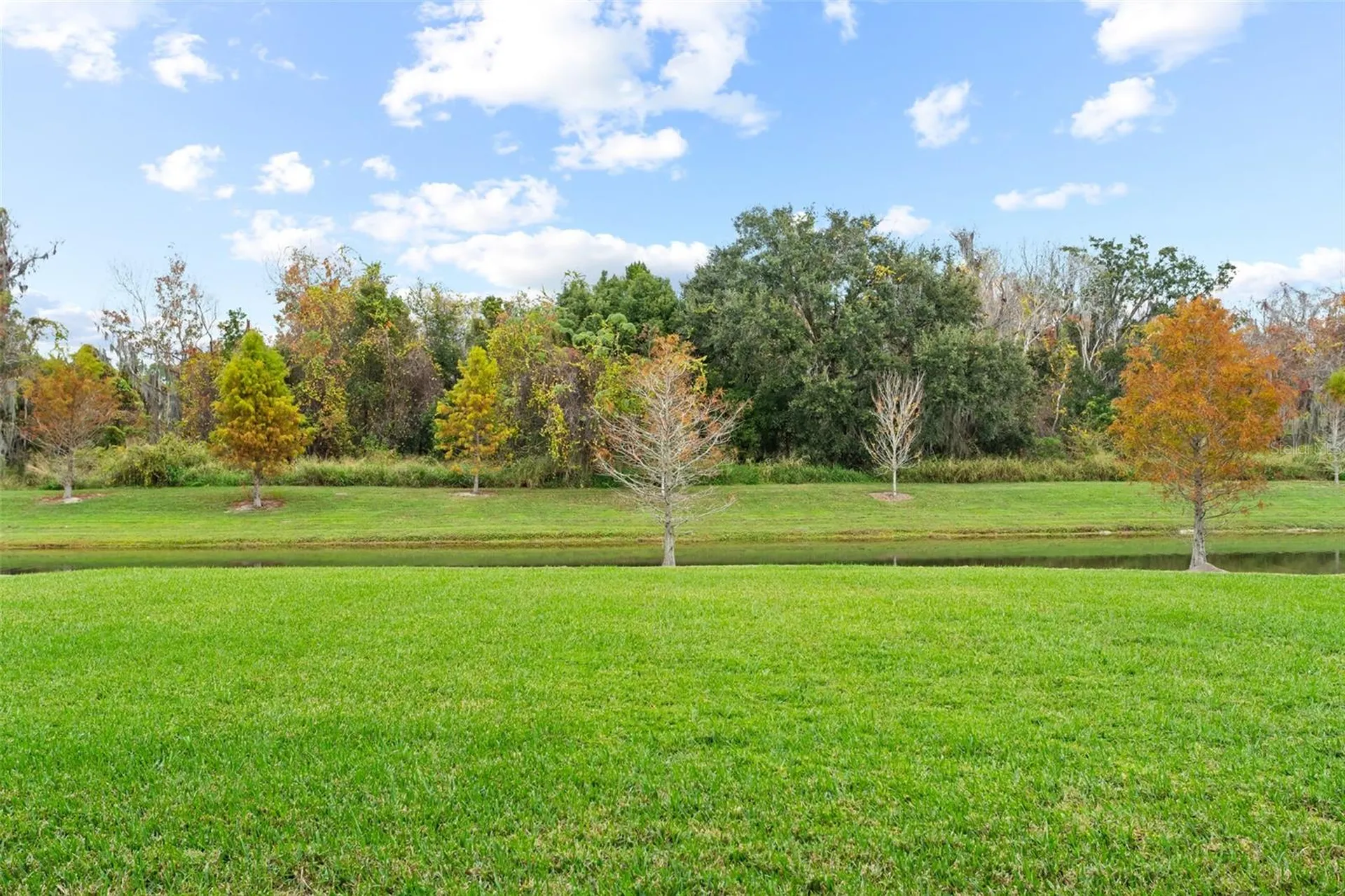 14372 Sunbridge Circle Winter Garden FL 34787