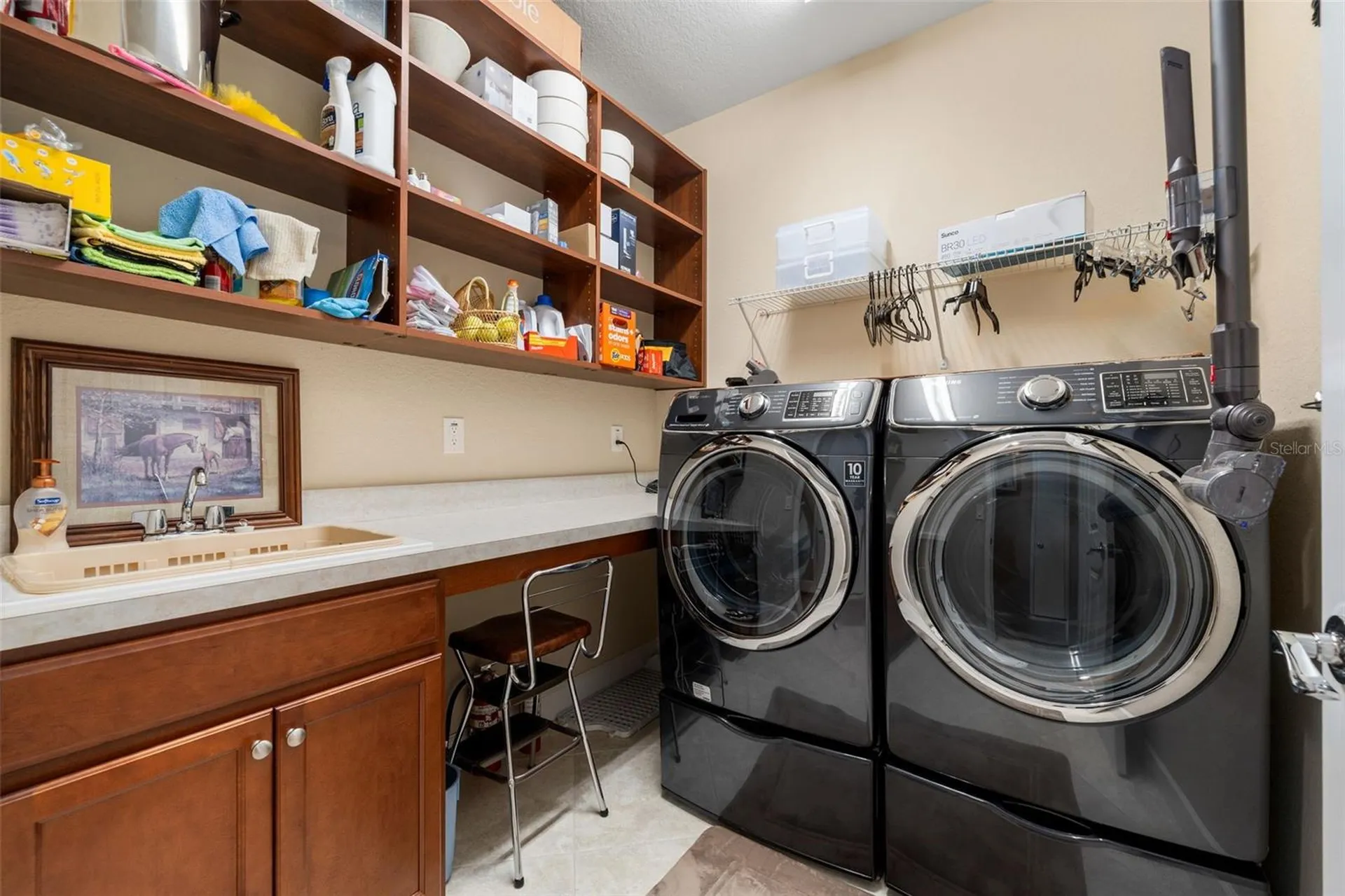 9838 SW 63rd Loop Ocala FL 34481