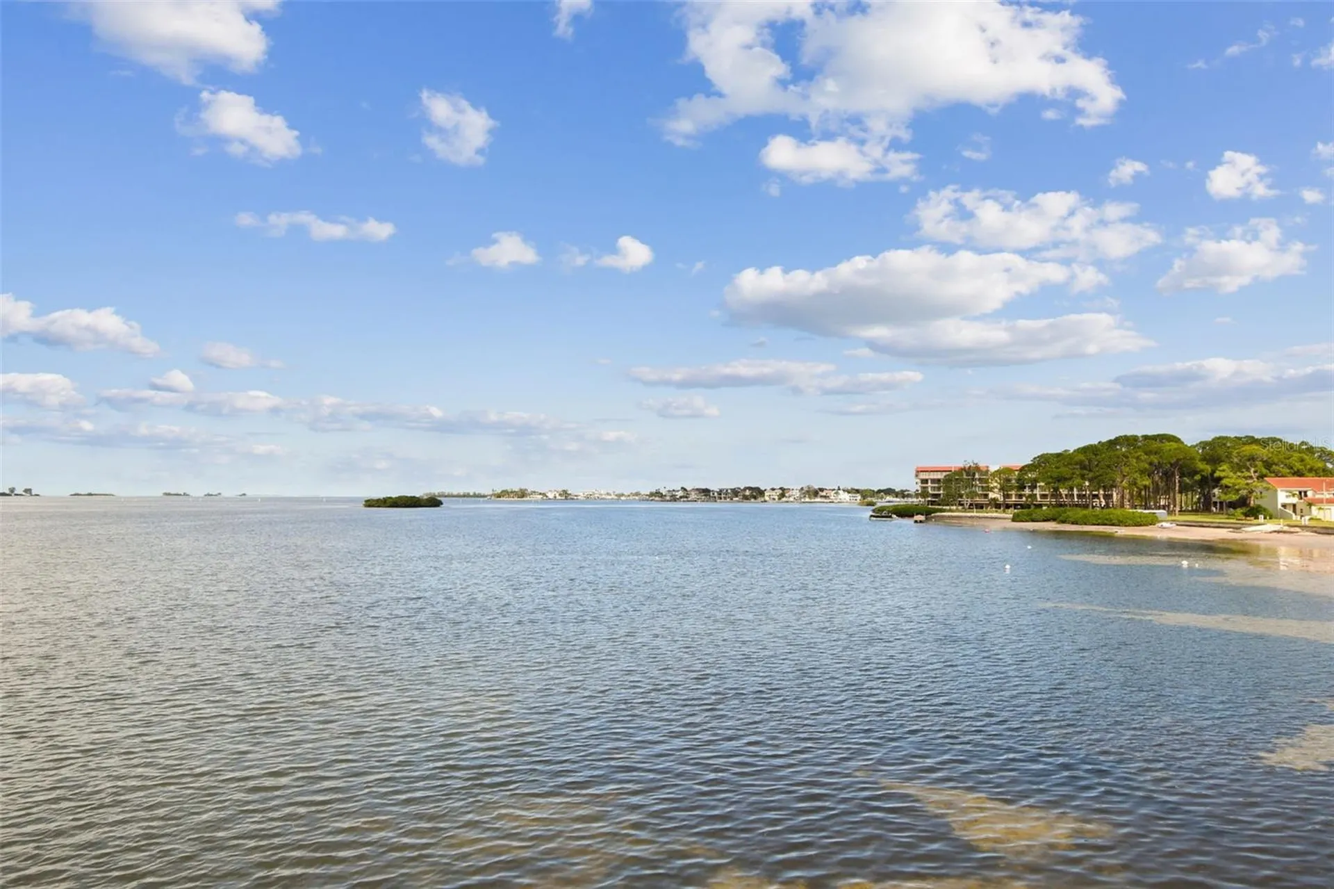 464 N Paula Drive Dunedin FL 34698
